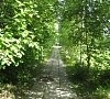 Санаторий Белые ключи Карелия фото