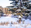 Санаторий Геолог Тюменская область - официальный сайт Санаторий Геолог Тюменская область - официальный сайт