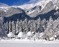 Отель СвяДанио (Архыз)