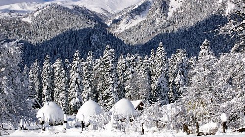 Гостевой дом «СвяДанио» Нижняя Ермоловка №1 Гостевой дом «СвяДанио» Нижняя Ермоловка, отдых все включено №1