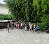 Аллес Сочи цены