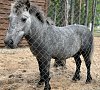 Санаторий «Ружанский» Белоруссия, отдых все включено №25
