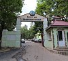 Отель Немецкая слобода (Чертовицы) Воронежская область фото Отель Немецкая слобода (Чертовицы) Воронежская область фото