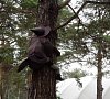 Отель Верхний бор Тюменская область