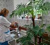 Санаторий «Летцы» Белоруссия, отдых все включено №40