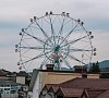 Отель Афалина Лазаревское фото